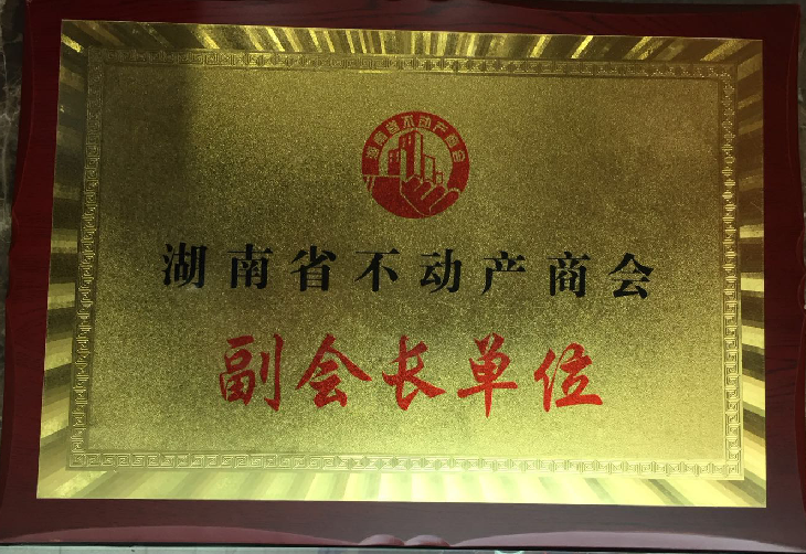 湖南省不动产商会副会长单位