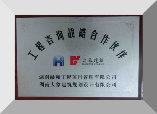 工程咨询合作伙伴